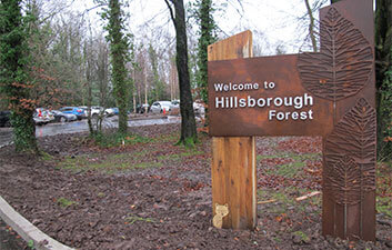 FP McCann Hillsborough Forest Development