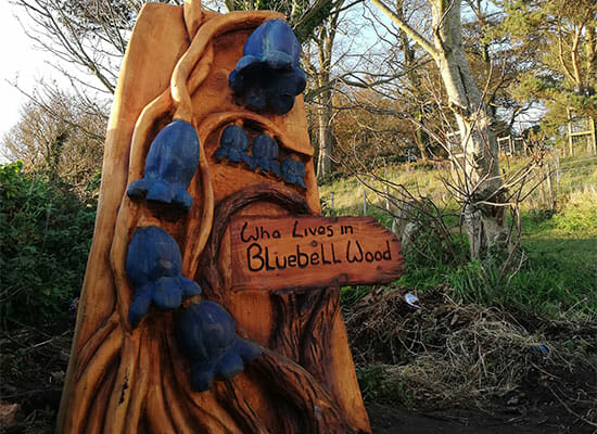 Portaferry PEACE IV Shared Spaces