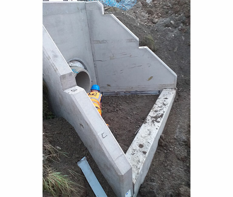 Translink NIR FP McCann