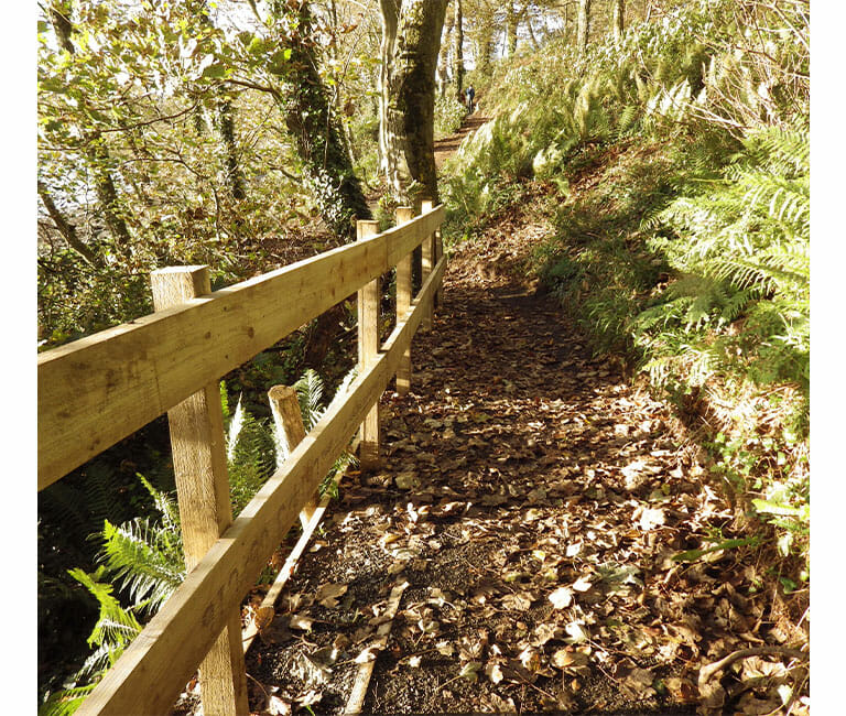 Nugents Wood lower path