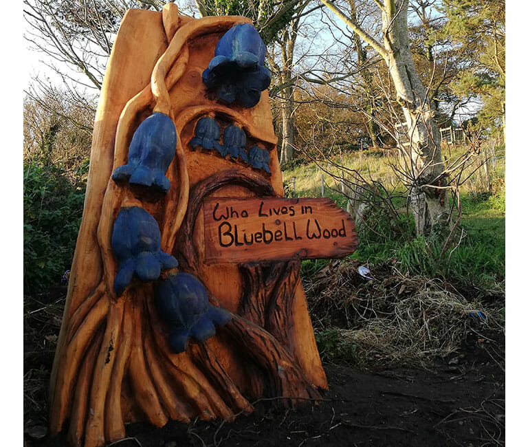 Nugents wood bluebell wood sculpture