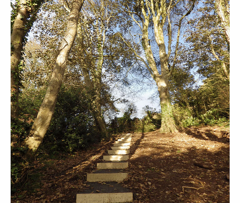 Nugents Wood long steps and seat