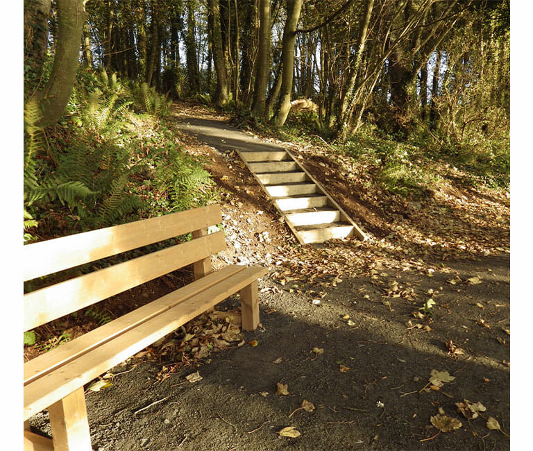 Nugents Wood lower shorter steps and seat