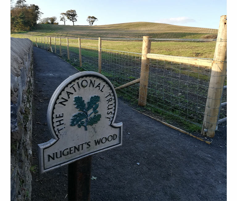 Nugents Wood shore path and wall